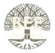 BeeHuman